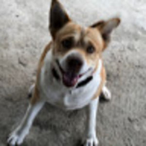 Meet your Posher, Marleah